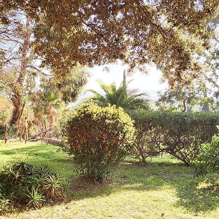 La Suite Costabella A Hyeres-Les-Palmiers Exterior photo