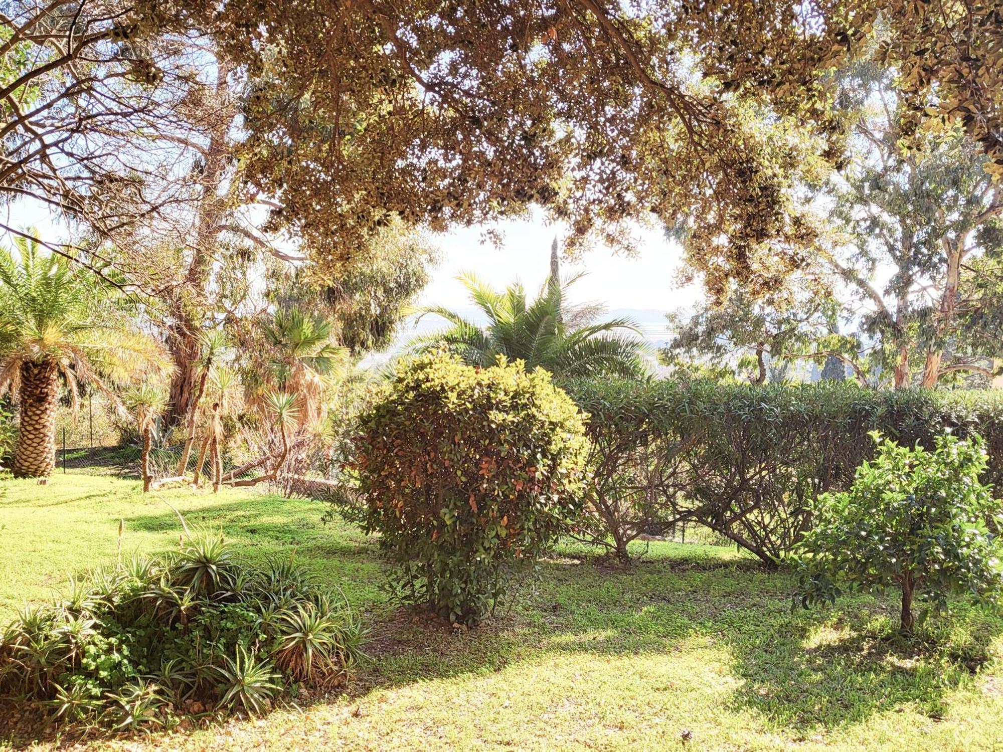 La Suite Costabella A Hyeres-Les-Palmiers Exterior photo